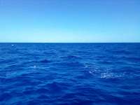 Great day of scuba diving in Key Largo with Rainbow Reef on spiegel grove tropical odyssey 2022 05 11 r12461 1