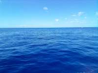 Great day of scuba diving in Key Largo with Rainbow Reef on spiegel grove tropical odyssey 2022 05 14 r12485 1