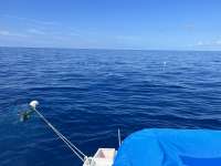 Great day of scuba diving in Key Largo with Rainbow Reef on spiegel grove tropical odyssey 2022 05 28 r12558 1