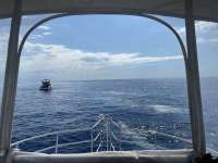 Great day of scuba diving in Key Largo with Rainbow Reef on uscgc duane tropical destiny 2022 05 13 r12477 1