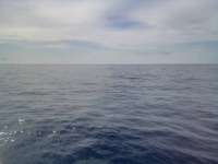 Great day of scuba diving in Key Largo with Rainbow Reef on uscgc duane tropical destiny 2022 05 29 r12567 2