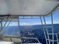Great day of scuba diving in Key Largo with Rainbow Reef on uscgc duane tropical serenity 2022 05 12 r12468 1