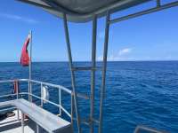 Great day of scuba diving in Key Largo with Rainbow Reef on woodys tropical odyssey 2022 05 28 r12566 1