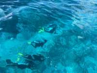 Great day of scuba diving in Key Largo with Rainbow Reef on sand island tropical legend 2022 11 16 r13326 1