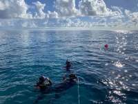 Great day of scuba diving in Key Largo with Rainbow Reef on sand island tropical legend 2022 11 16 r13328 2