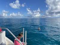 Great day of scuba diving in Key Largo with Rainbow Reef on sand island tropical legend 2022 11 16 r13328 3