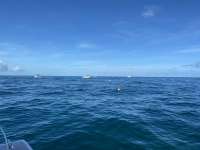 Great day of scuba diving in Key Largo with Rainbow Reef on student classes trip tropical adventure 2022 11 25 r13349 1