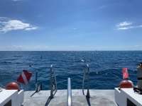 Great day of scuba diving in Key Largo with Rainbow Reef on city of washington tropical adventure 2022 10 04 r13192 1