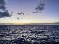 Great day of scuba diving in Key Largo with Rainbow Reef on eagle ray alley tropical destiny 2022 10 22 r13267 1