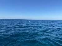 Great day of scuba diving in Key Largo with Rainbow Reef on hole in the wall tropical adventure 2022 10 04 r13190 1