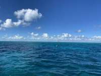 Great day of scuba diving in Key Largo with Rainbow Reef on hole in the wall tropical destiny 2022 10 28 r13284 1