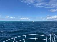 Great day of scuba diving in Key Largo with Rainbow Reef on spanish anchor tropical destiny 2022 10 07 r13203 1