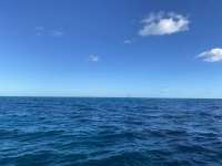 Great day of scuba diving in Key Largo with Rainbow Reef on tarpon run tropical adventure 2022 10 25 r13273 1
