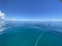 Great day of scuba diving in Key Largo with Rainbow Reef on christmastree cave tropical adventure 2022 09 07 r13136 1