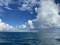 Great day of scuba diving in Key Largo with Rainbow Reef on north star tropical adventure 2022 09 03 r13117 1