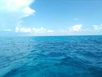 Great day of scuba diving in Key Largo with Rainbow Reef on snapper ledge tropical adventure 2022 09 01 r13113 1