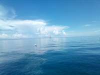 Great day of scuba diving in Key Largo with Rainbow Reef on spanish anchor tropical adventure 2022 09 13 r13157 1
