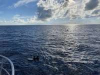 Great day of scuba diving in Key Largo with Rainbow Reef on spiegel grove tropical adventure 2022 09 05 r13128 2