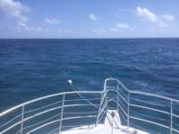 Great day of scuba diving in Key Largo with Rainbow Reef on benwood wreck tropical legend 2023 04 01 r13661 1
