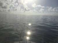 Great day of scuba diving in Key Largo with Rainbow Reef on benwood wreck tropical legend 2023 04 02 r13666 1