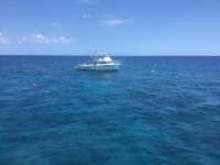 Great day of scuba diving in Key Largo with Rainbow Reef on hole in the wall tropical destiny 2023 04 09 r13720 1