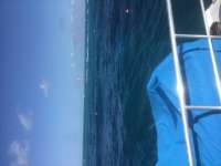 Great day of scuba diving in Key Largo with Rainbow Reef on hole in the wall tropical legend 2023 04 01 r13658 1