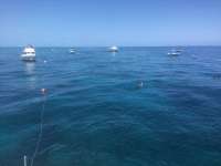 Great day of scuba diving in Key Largo with Rainbow Reef on hole in the wall tropical legend 2023 04 02 r13668 1