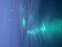 Great day of scuba diving in Key Largo with Rainbow Reef on benwood wreck tropical destiny 2023 08 01 r14410 2