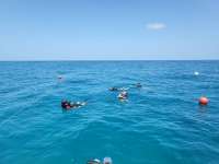 Great day of scuba diving in Key Largo with Rainbow Reef on benwood wreck tropical legend 2023 08 10 r14464 1