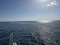 Great day of scuba diving in Key Largo with Rainbow Reef on benwood wreck tropical odyssey 2023 08 11 r14469 1