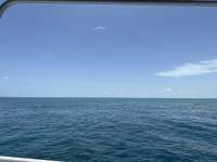 Great day of scuba diving in Key Largo with Rainbow Reef on christ statue tropical odyssey 2023 08 09 r14458 1