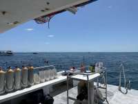 Great day of scuba diving in Key Largo with Rainbow Reef on christ statue tropical odyssey 2023 08 26 r14537 1