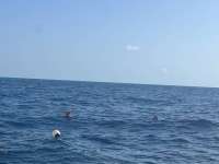 Great day of scuba diving in Key Largo with Rainbow Reef on christmastree cave tropical destiny 2023 08 14 r14488 1