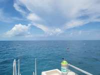 Great day of scuba diving in Key Largo with Rainbow Reef on christmastree cave tropical legend 2023 08 03 r14423 1