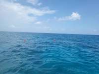 Great day of scuba diving in Key Largo with Rainbow Reef on christmastree cave tropical legend 2023 08 18 r14514 1