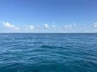 Great day of scuba diving in Key Largo with Rainbow Reef on crf nursery tropical voyager 2023 08 04 r14426 1