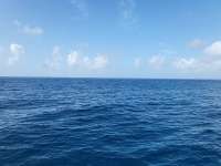 Great day of scuba diving in Key Largo with Rainbow Reef on drift molasses tropical legend 2023 08 09 r14456 1