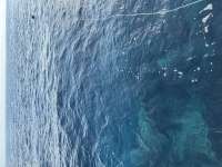 Great day of scuba diving in Key Largo with Rainbow Reef on molasses reef tropical destiny 2023 08 03 r14419 1