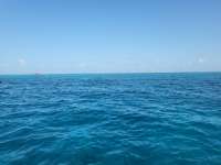 Great day of scuba diving in Key Largo with Rainbow Reef on north star tropical legend 2023 08 10 r14462 1