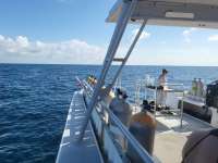 Great day of scuba diving in Key Largo with Rainbow Reef on spiegel grove tropical legend 2023 08 05 r14434 1