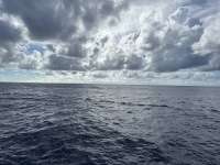 Great day of scuba diving in Key Largo with Rainbow Reef on spiegel grove tropical odyssey 2023 08 12 r14475 1