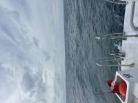 Great day of scuba diving in Key Largo with Rainbow Reef on french reef tropical serenity 2023 12 08 r14918 1