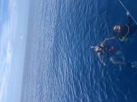 Great day of scuba diving in Key Largo with Rainbow Reef on spiegel grove tropical destiny 2023 12 04 r14902 1