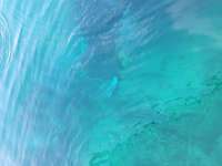 Great day of scuba diving in Key Largo with Rainbow Reef on benwood wreck tropical legend 2023 07 06 r14223 1