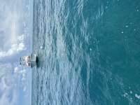 Great day of scuba diving in Key Largo with Rainbow Reef on benwood wreck tropical odyssey 2023 07 19 r14321 1