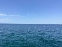 Great day of scuba diving in Key Largo with Rainbow Reef on christ statue tropical odyssey 2023 07 07 r14234 1