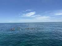 Great day of scuba diving in Key Largo with Rainbow Reef on christ statue tropical odyssey 2023 07 12 r14269 1