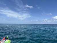 Great day of scuba diving in Key Largo with Rainbow Reef on city of washington tropical adventure 2023 07 11 r14264 1