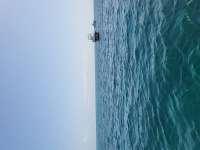Great day of scuba diving in Key Largo with Rainbow Reef on hole in the wall tropical legend 2023 07 08 r14241 1