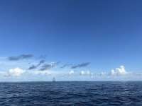 Great day of scuba diving in Key Largo with Rainbow Reef on hole in the wall tropical odyssey 2023 07 31 r14400 1